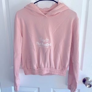 Rusted Coop Crop Pullover Hoodie